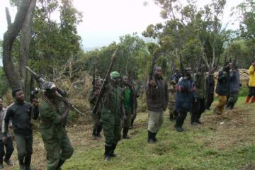 UBurundi bukomeje kurundanya abantu bitwaje intwaro mu Ntara ya Cibitoke,  bikekwa ko ari Interahamwe zigamije gutera u Rwanda