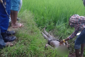 Burundi: Haravugwa umusore wishwe agacibwa umutwe umurambo we ugasigwaho ubutumwa buteye ubwoba