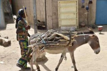 U Burundi buravuga ko inkunga y’indogobe u Bufaransa bwahaye abaturage ari nk’igitutsi