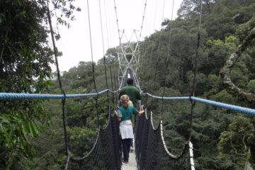 RDB yemeje ko ibikorwa by’ubukerarugendo muri Pariki ya Nyungwe bitigeze bihungabana