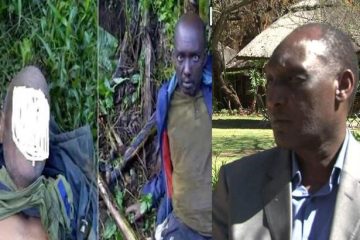 Ibintu bitandatu [ 6 ] bigaragaza isenyuka rya RNC na P5.