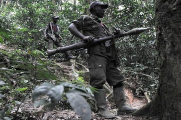 Ibitero bikakaye by’Ingabo za Congo FARDC byirukanye mu birindiro umutwe wa FDLR uhungira muri pariki