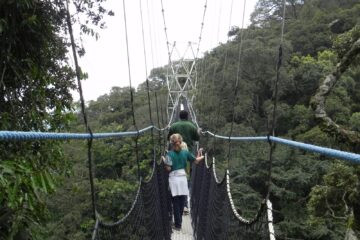 COVID-19: Gusura Pariki y’Ibirunga, Mukura-Gishwati na Nyungwe byasubitswe