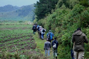 Abakerarugendo bahawe imyaka ibiri yo guhindura amatariki yo gusura pariki kubera Coronavirus