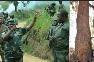 Umwe mu bayobozi bakuru ba FDLR, General Nsengiyumva Secyugu Gabral yishwe na FARDC nyuma y’iminsi itatu gusa ahawe inshingano nshya muri uwo mutwe