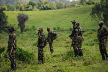 Aho gusubiza impamvu bakorana na FDLR mu guhungabanya umutekano w’u Rwanda, abanyekongo barahunga ibibazo byabo bwite bakabigereka ku Rwanda. Aho gusubiza impamvu bakorana na FDLR mu guhungabanya umutekano w’u Rwanda, abanyekongo barahunga ibibazo byabo bwite bakabigereka ku Rwanda.