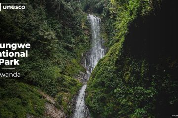Ubwiza bwa Pariki y’Igihugu ya Nyungwe yashyizwe mu murage w’Isi wa UNESCO