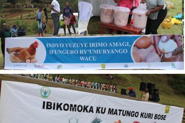 Kurya igi rimwe ku munsi ni umuti ukomeye ku buzima bwa muntu