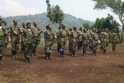 Raporo ivuga ko FDLR yigabyemo ibice bitatu by’ingenzi ari byo FDLR-FOCA, FDLR-RUD na FDLR-FPP